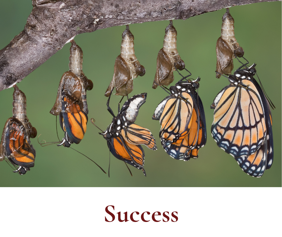 Defining Success